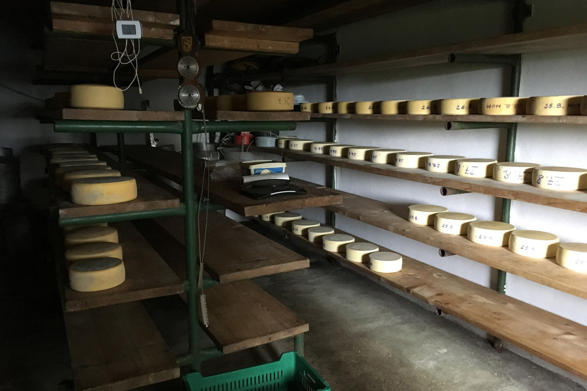 discover-the-mountain-pastures/IMG