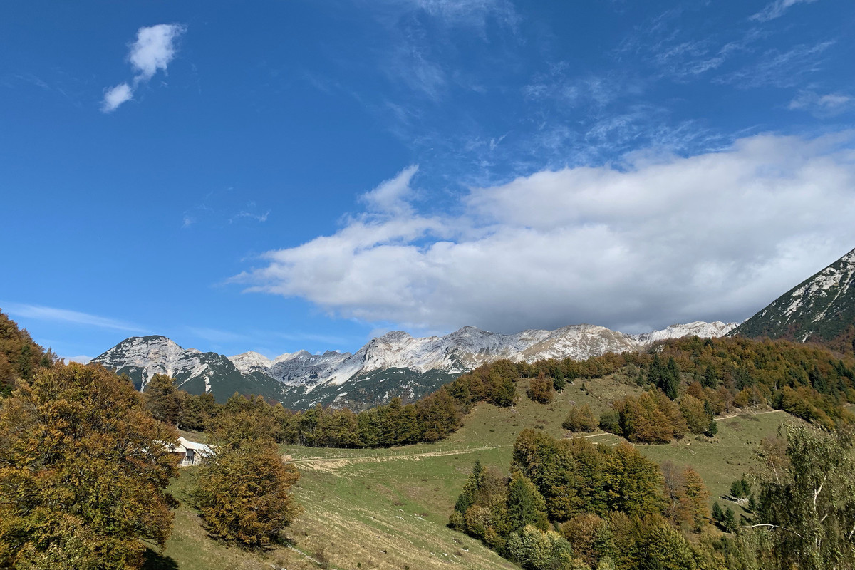 over-the-mountain-pastures/po-planinah